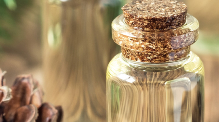 Gum turpentine oil