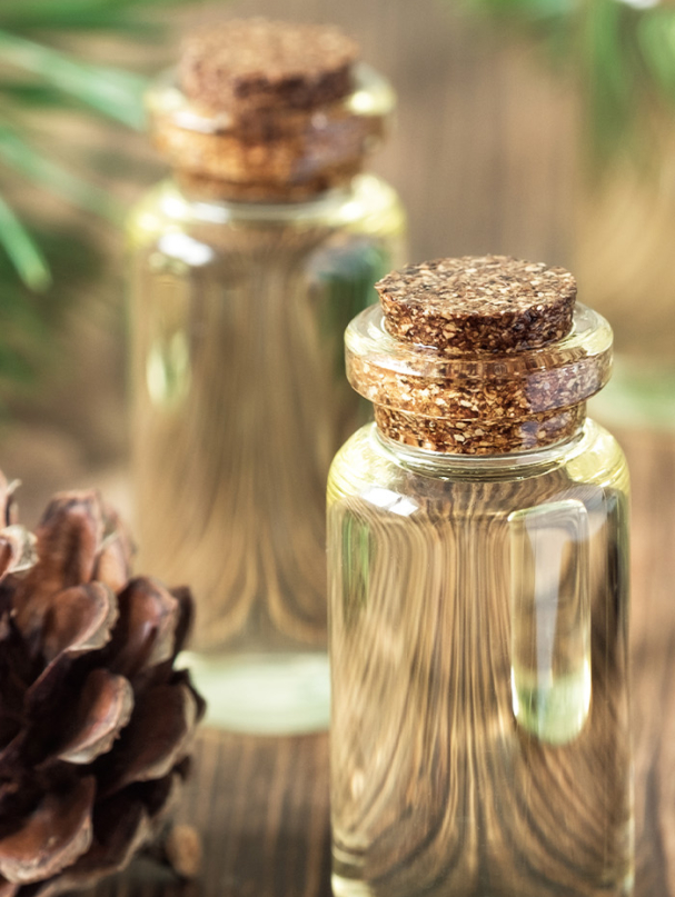Gum turpentine oil